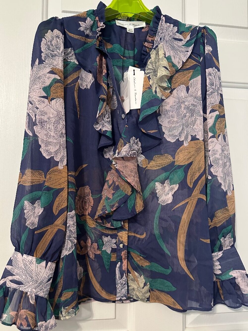 NWT Beautiful blouse. Sheer, ruffled neck and sleeves